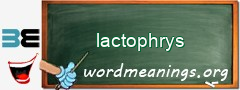 WordMeaning blackboard for lactophrys